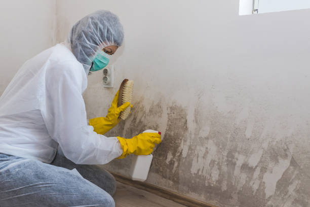 Best HVAC Mold Remediation in Agency Village, SD
