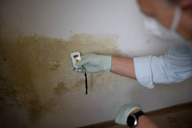 Best Industrial Mold Remediation in Agency Village, SD