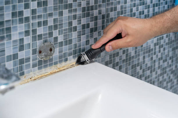 Best Black Mold Remediation in Agency Village, SD