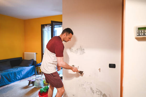 Best Preventive Mold Services in Agency Village, SD